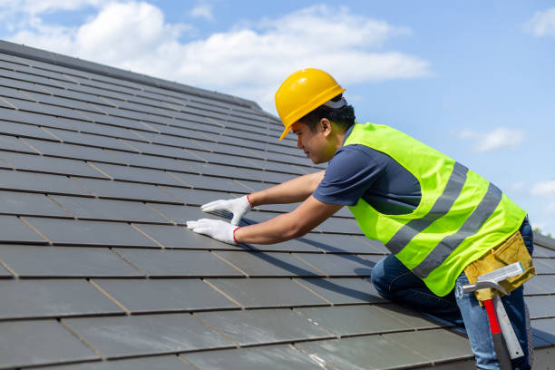 Roof Gutter Cleaning in Spanish Fork, UT