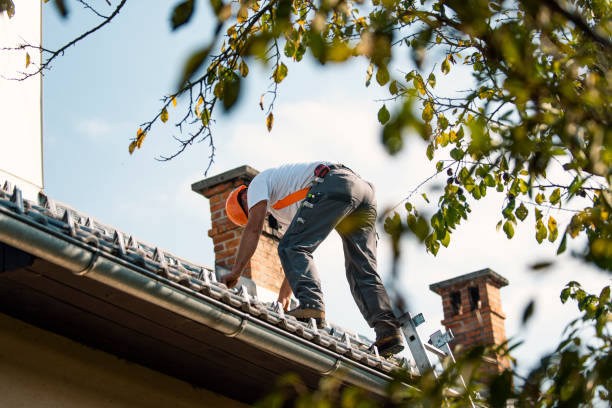 Best Roof Leak Repair  in Spanish Fork, UT